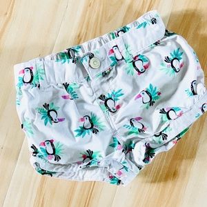 🍭5/$20 Toucan Shorts with Leaves & Flowers